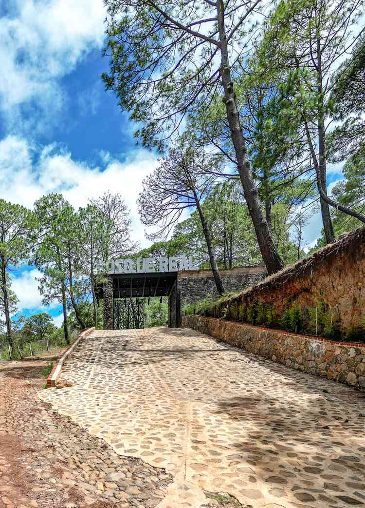 terreno en venta carr mazamitla puerto de las cuevas mazamitla jalisco pgbozHq